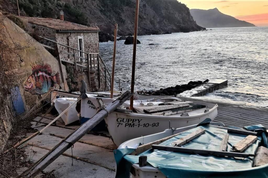 Casa Mistral, Un Paraiso De Mar Y Montana 巴尔德莫萨 外观 照片